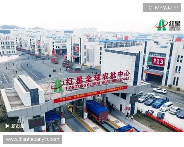 壹号专用红星：红星品牌在国内外市场的推广策略与品牌国际化路径