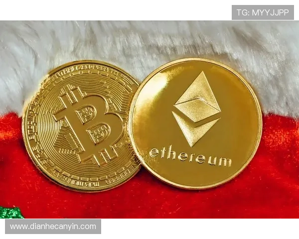 壹号钱包专业版的最新版本功能更新内容及未来发展方向展望 壹号钱包专业版的最新版本功能更新内容及未来发展方向展望